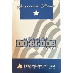 Do-Si-Dos Auto 4 Semillas...