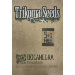 Bocanegra 6 Semillas...