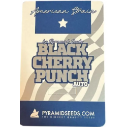 Black Cherry Punch Auto 4...