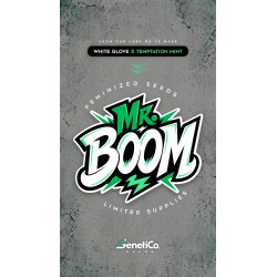 Mr Boom Genetico Seeds 5...