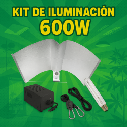 Kit iluminación 600w Alas...