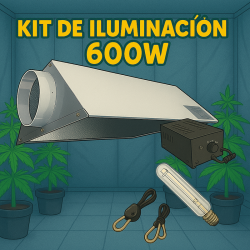 Kit de iluminación 600w...