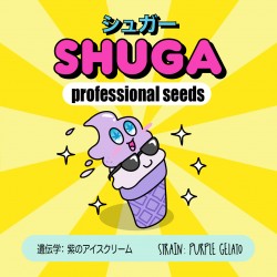 Shuga - Purple Gelato 3...