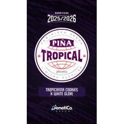 Piña Tropical 5 Semillas...